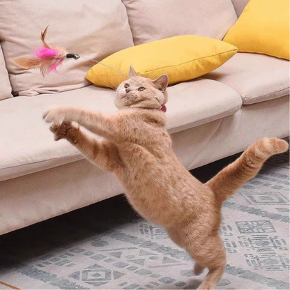 Jouet à Plumes pour Chat sur Collier | Jeu Sûr et Amusant