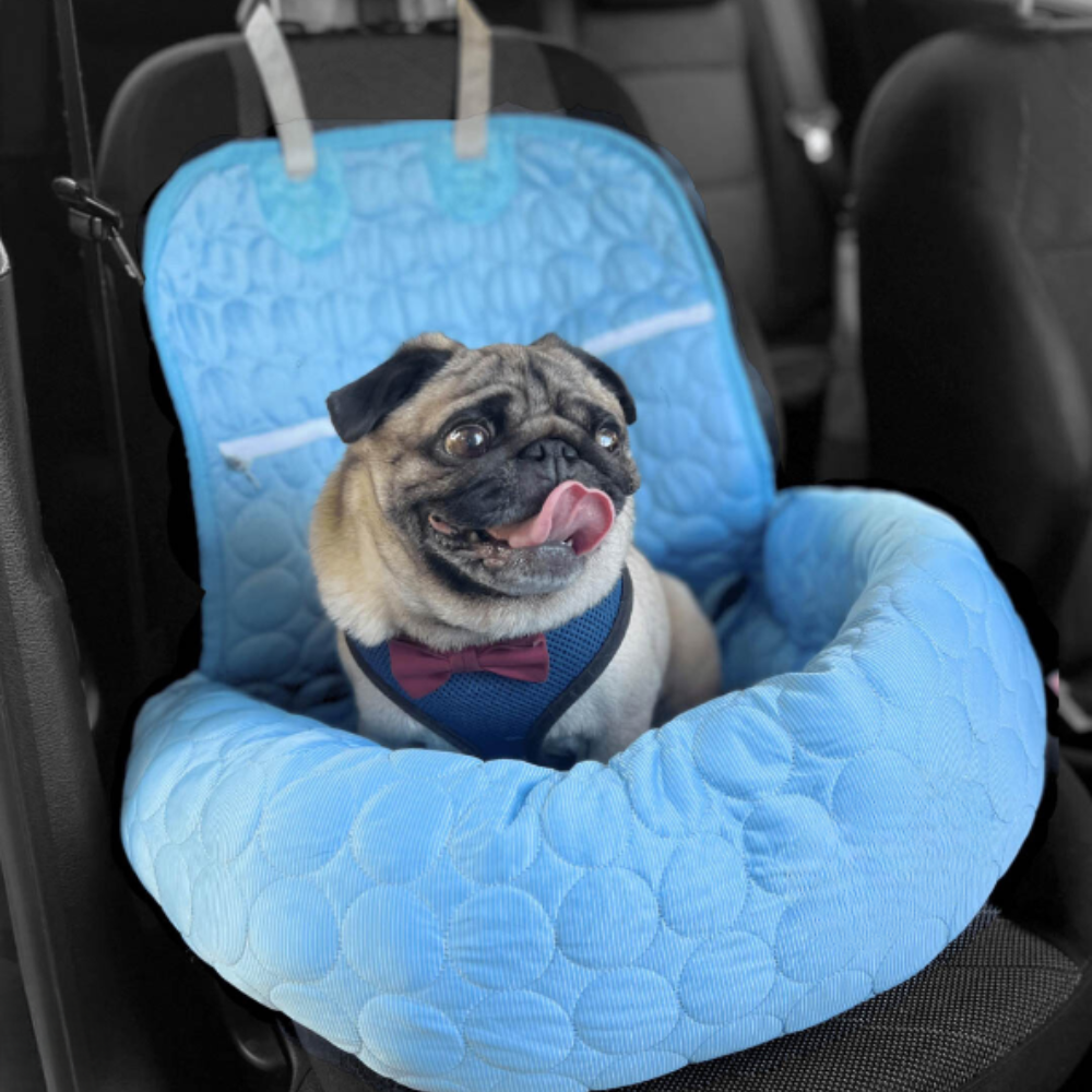 ChillPaws Lit Rafraîchissant | Garde les Animaux au Frais et Confortables