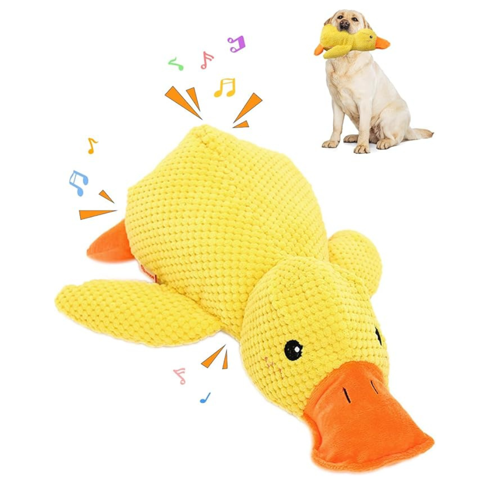 Jouet Chien StressQuack | Mâchouille Anti-Stress avec Couinement