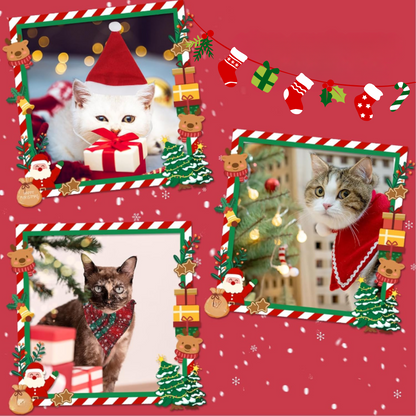 Coffret Cadeau de Noël pour Chat | Jouets Amusants, Accessoires Adorables