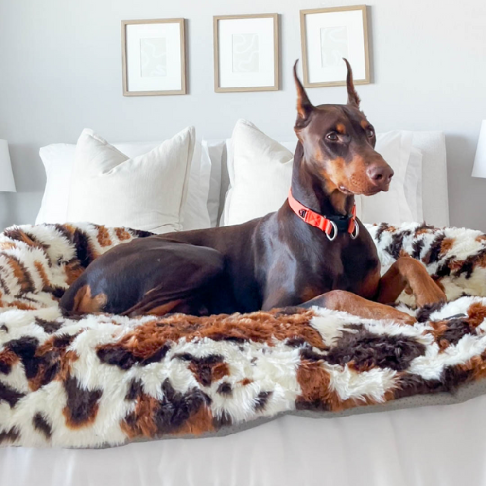 LuxePaws Protecteur de Canapé Apaisant pour Chiens | Confort Élégant