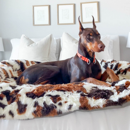 LuxePaws Protecteur de Canapé Apaisant pour Chiens | Confort Élégant