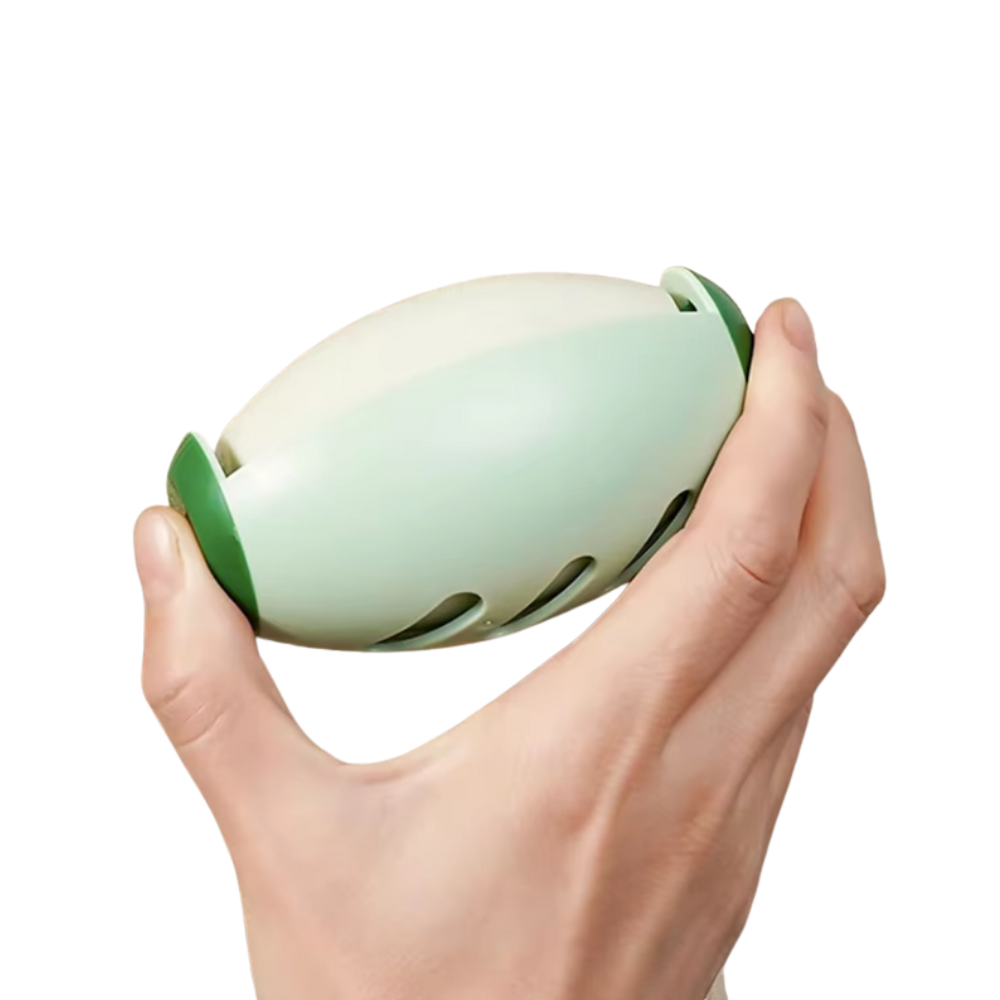 Brosse Anti-Poils Animaux Réutilisable – Poils de Chat et Chien, Vêtements et Canapés