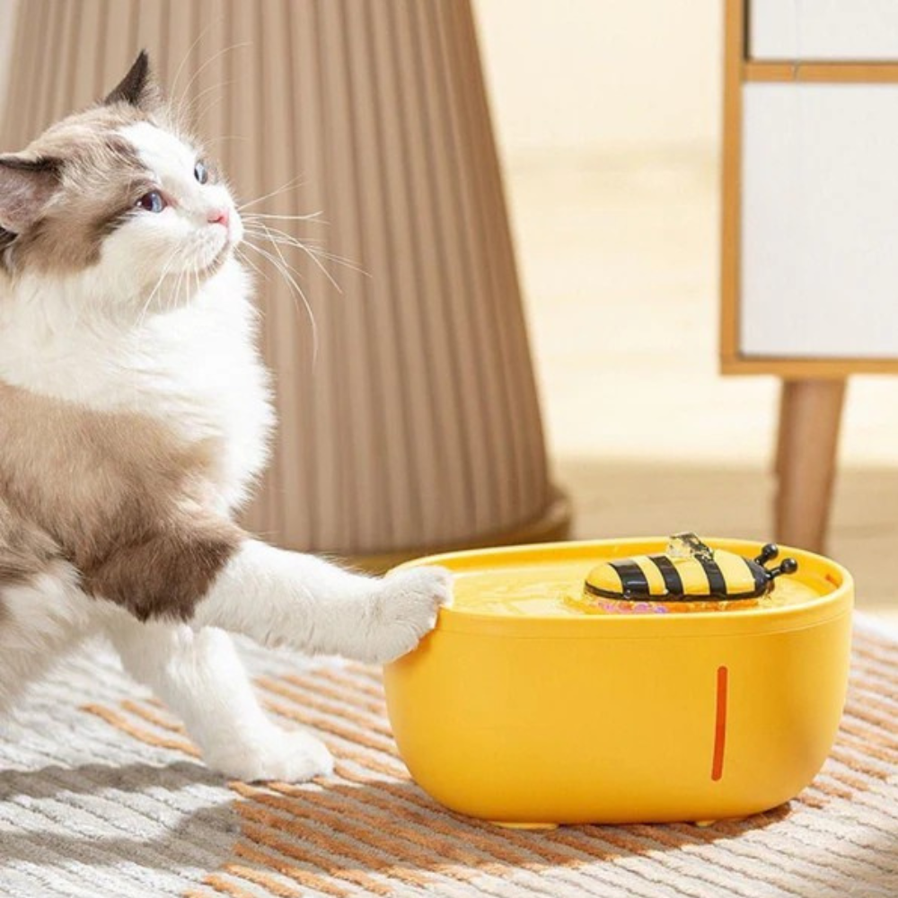 Fontaine à Eau pour Chat | Sûre, Silencieuse, Eau Filtrée