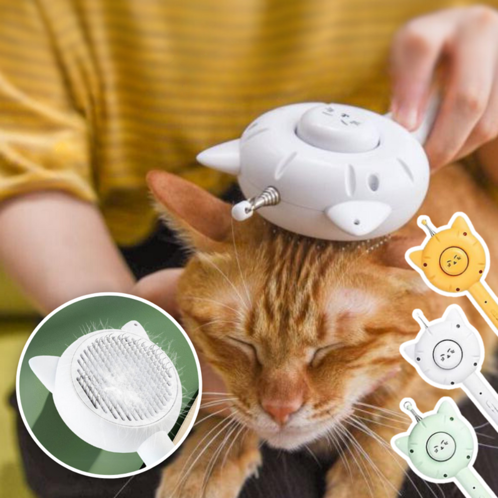 PurrfectEase Brosse Multifonction pour Chat | Toilettage, Jeu & Détente