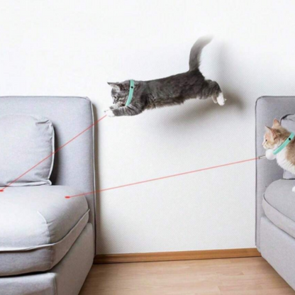 Collier Laser Rechargeable pour Chat | Amusant, Réglable et Jeu sûr