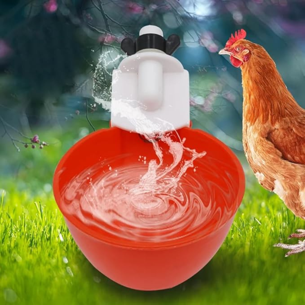 Automatique Abreuvoir Poules, Lot de 10 pièces | Système Propre à Remplissage