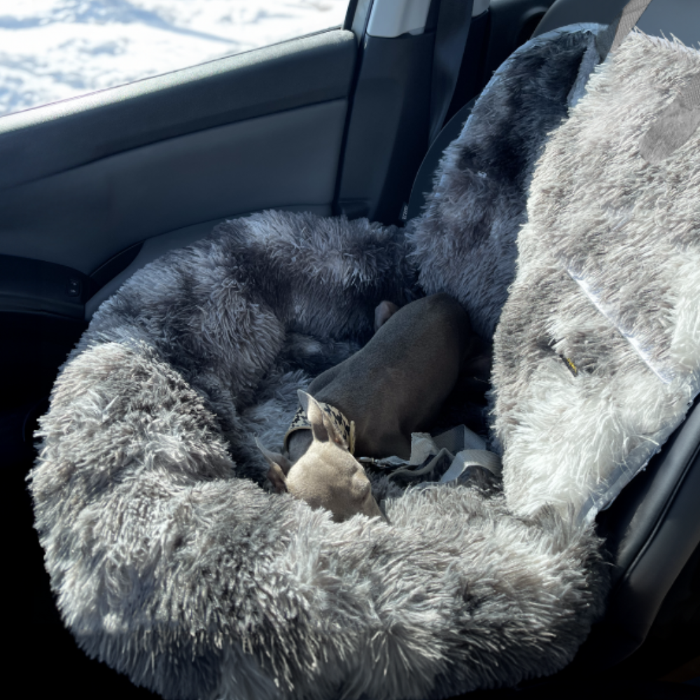 CozyRide Siège Auto 2‑en‑1 pour Animaux | Confort et Protection Partout
