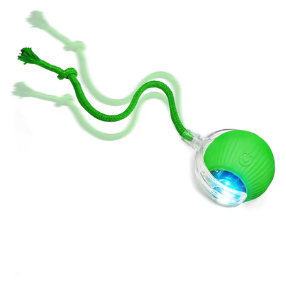 PetMotion Balle à Poursuivre | Jouet Rechargeable pour Chats et Chiens