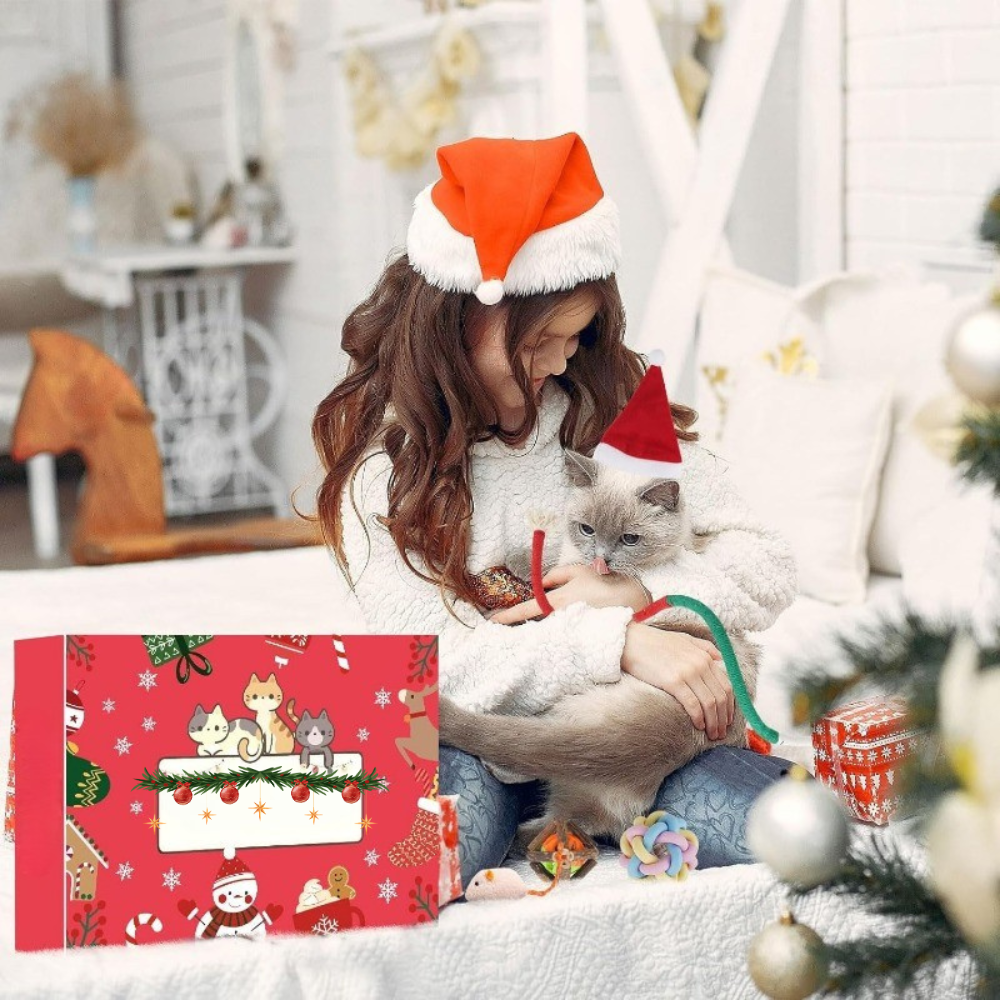 Coffret Cadeau de Noël pour Chat | Jouets Amusants, Accessoires Adorables