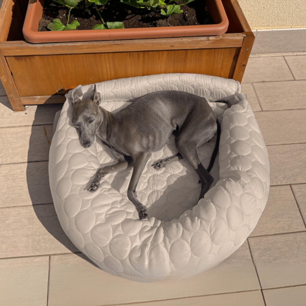 ChillPaws Lit Rafraîchissant | Garde les Animaux au Frais et Confortables
