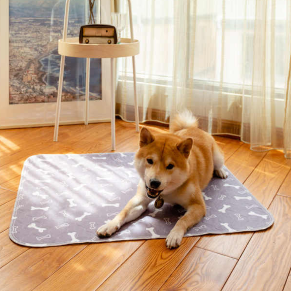 CleanPad Tapis d’Entraînement Réutilisable | Lavable et Imperméable