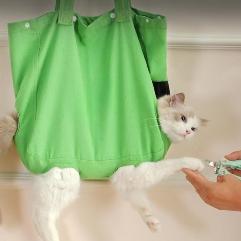 Sac Cabas de Transport Portable pour Chat | Sûr, Confortable et Léger