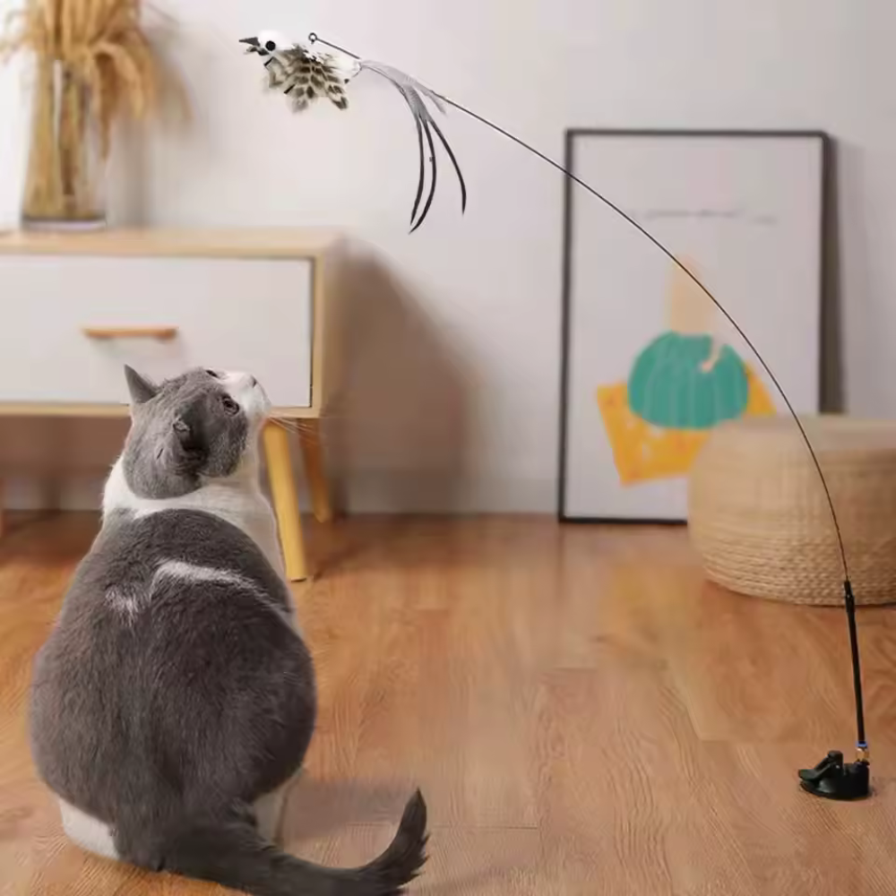 Canne Jouet Chat Oiseau Plume | Jeu Amusant Intérieur