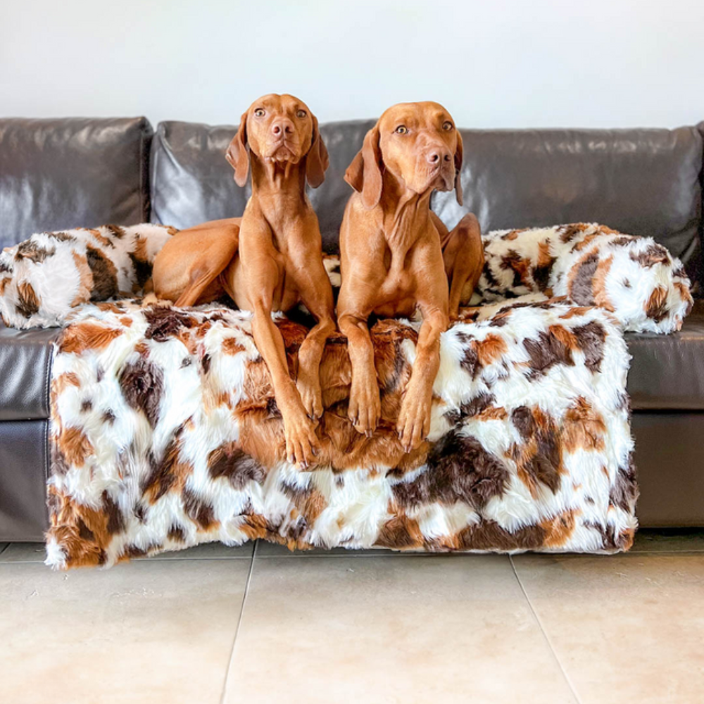 LuxePaws Protecteur de Canapé Apaisant pour Chiens | Confort Élégant