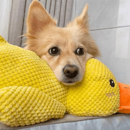 Jouet Chien StressQuack | Mâchouille Anti-Stress avec Couinement