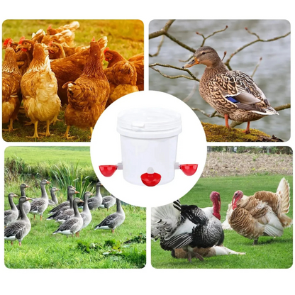 Automatique Abreuvoir Poules, Lot de 10 pièces | Système Propre à Remplissage