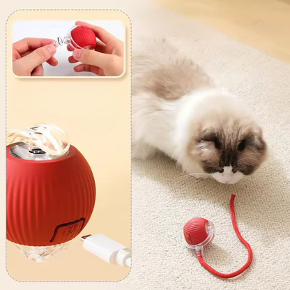 PetMotion Balle à Poursuivre | Jouet Rechargeable pour Chats et Chiens