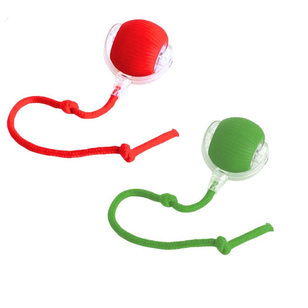 PetMotion Balle à Poursuivre | Jouet Rechargeable pour Chats et Chiens