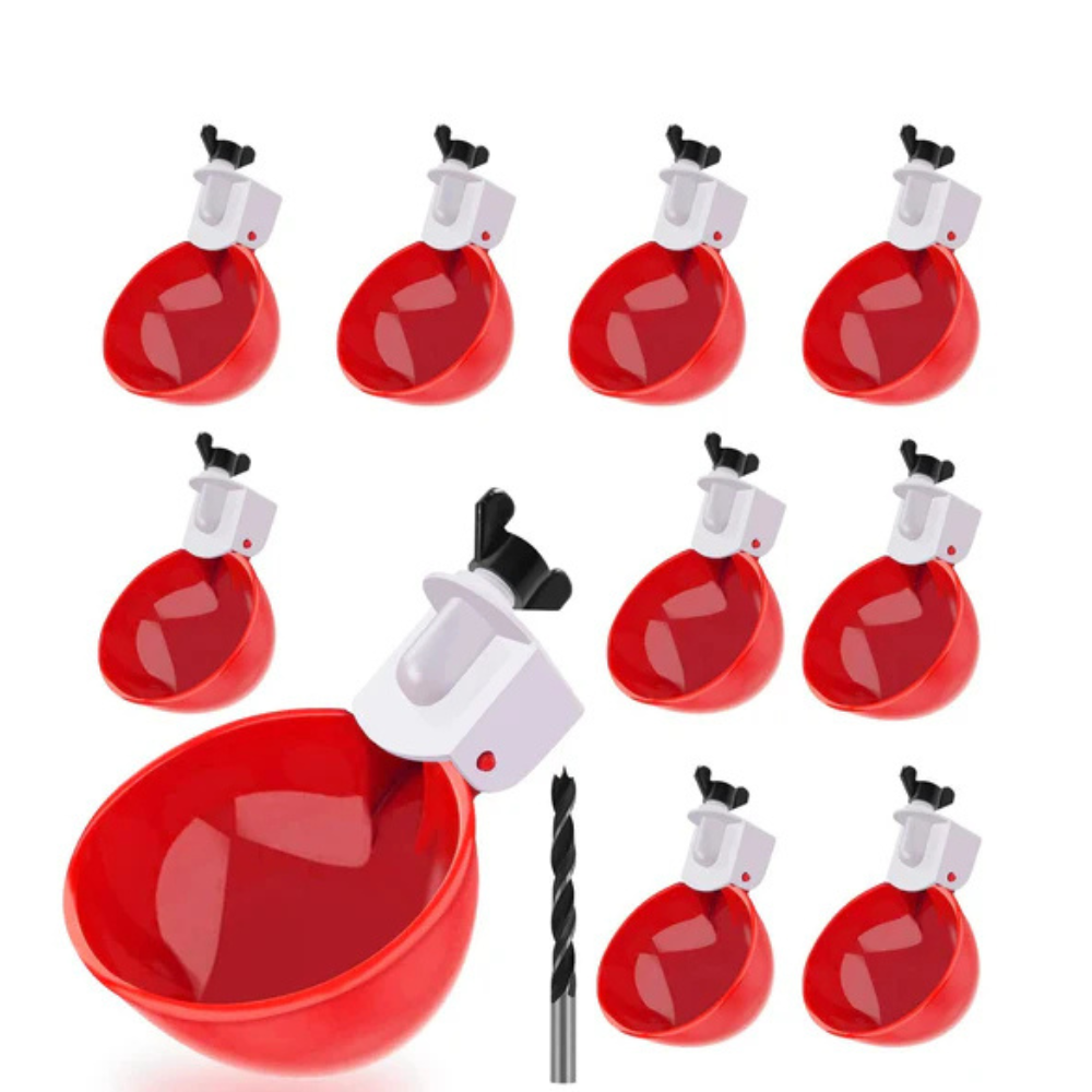 Automatique Abreuvoir Poules, Lot de 10 pièces | Système Propre à Remplissage