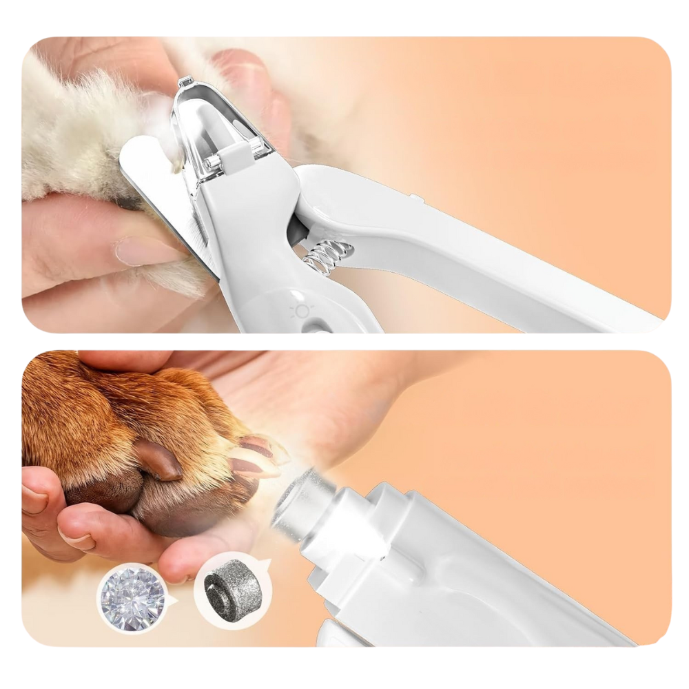 Coupe‑Griffes Lime Électrique pour Animaux 2‑en‑1 à LED | Sûr, Indolore