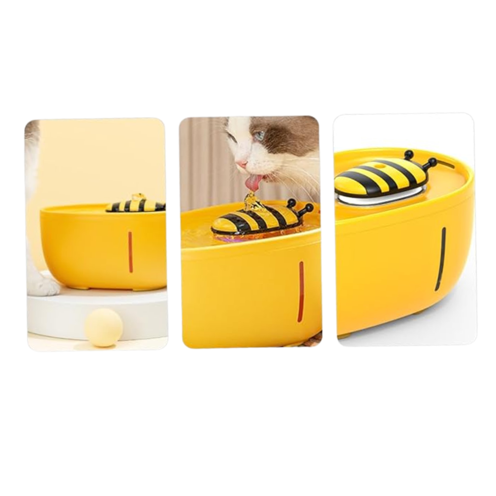 Fontaine à Eau pour Chat | Sûre, Silencieuse, Eau Filtrée