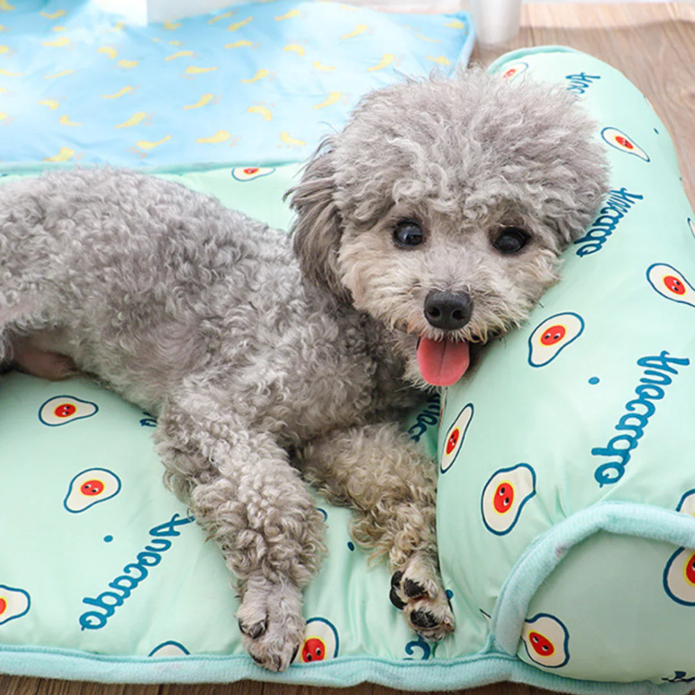 ChillPaws Lit Rafraîchissant pour Animaux | Confort Frais et Apaisant