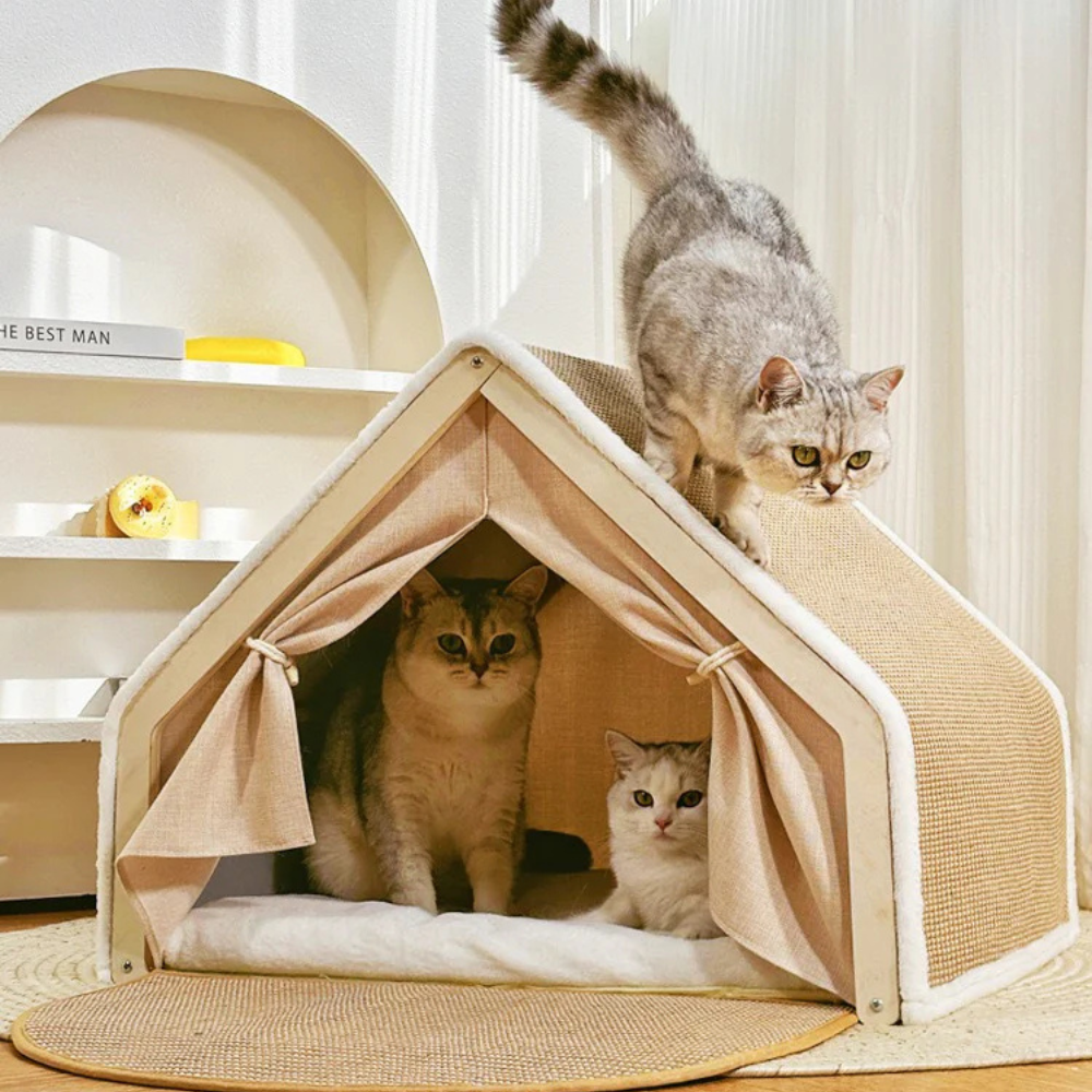 Maison pour Chat en Bois avec Rampe en Sisal | Dormir & Griffer