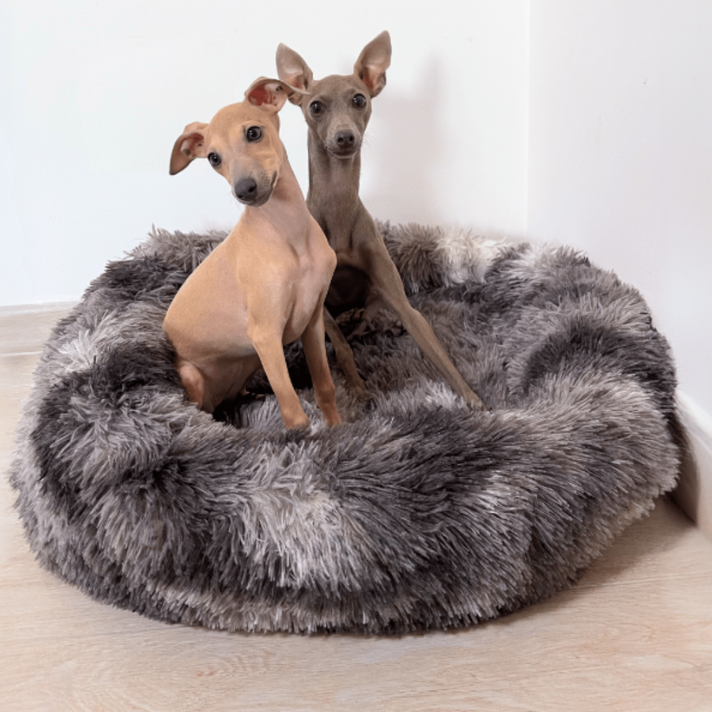 CozyRide Siège Auto 2‑en‑1 pour Animaux | Confort et Protection Partout