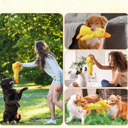 Jouet Chien StressQuack | Mâchouille Anti-Stress avec Couinement