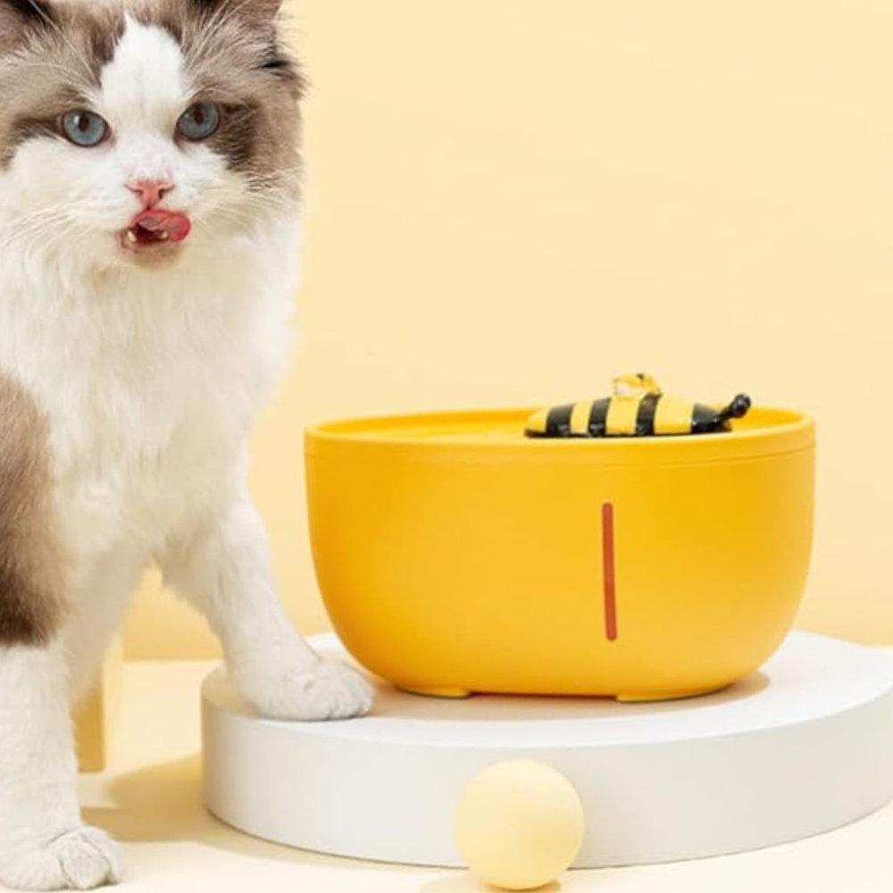 Fontaine à Eau pour Chat | Sûre, Silencieuse, Eau Filtrée