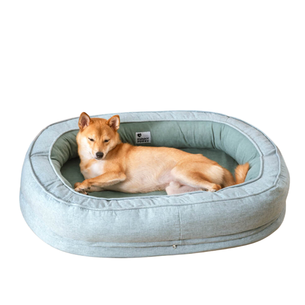 Lit Donut Apaisant pour Chien – Confort Moelleux et Soutien Lombaire