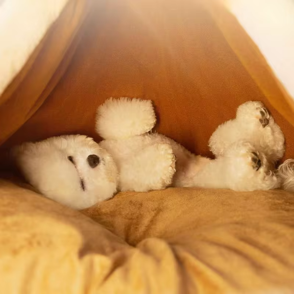 Lit Tente pour Animaux QuickWarm | Doux, Confort Instantané