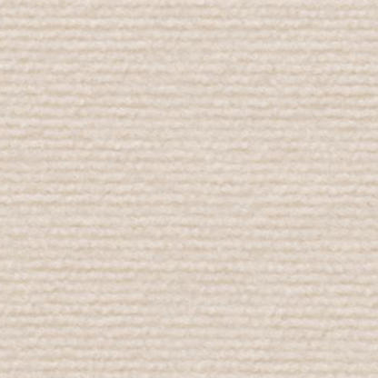 Tapis Anti-Griffes pour Chat Shield | Protège Meubles et Murs