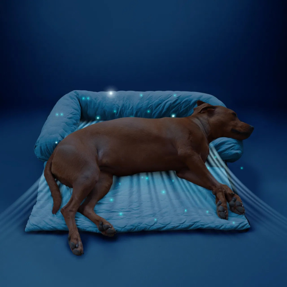 Tapis Rafraîchissant pour Chien | Protège-Canapé Lavable