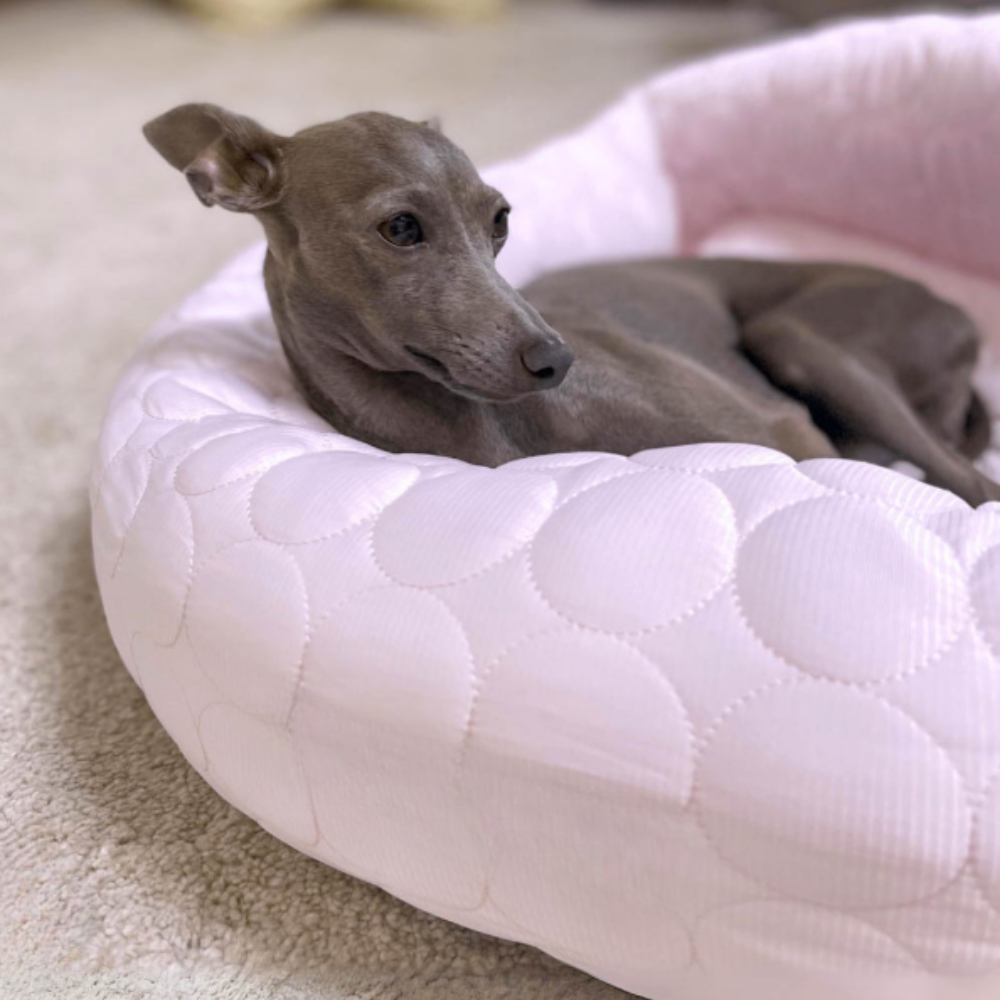 ChillPaws Lit Rafraîchissant | Garde les Animaux au Frais et Confortables