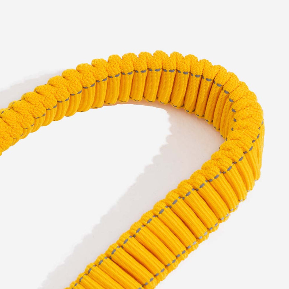 Ceinture de Sécurité Ajustable pour Chien | Voyage Sûr et Confortable