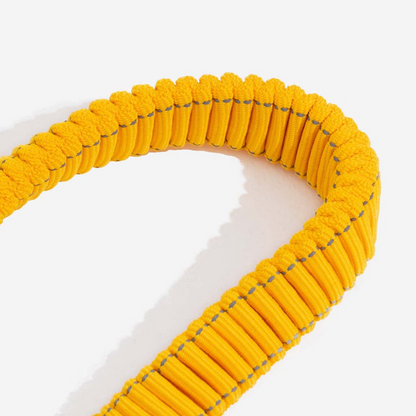 Ceinture de Sécurité Ajustable pour Chien | Voyage Sûr et Confortable