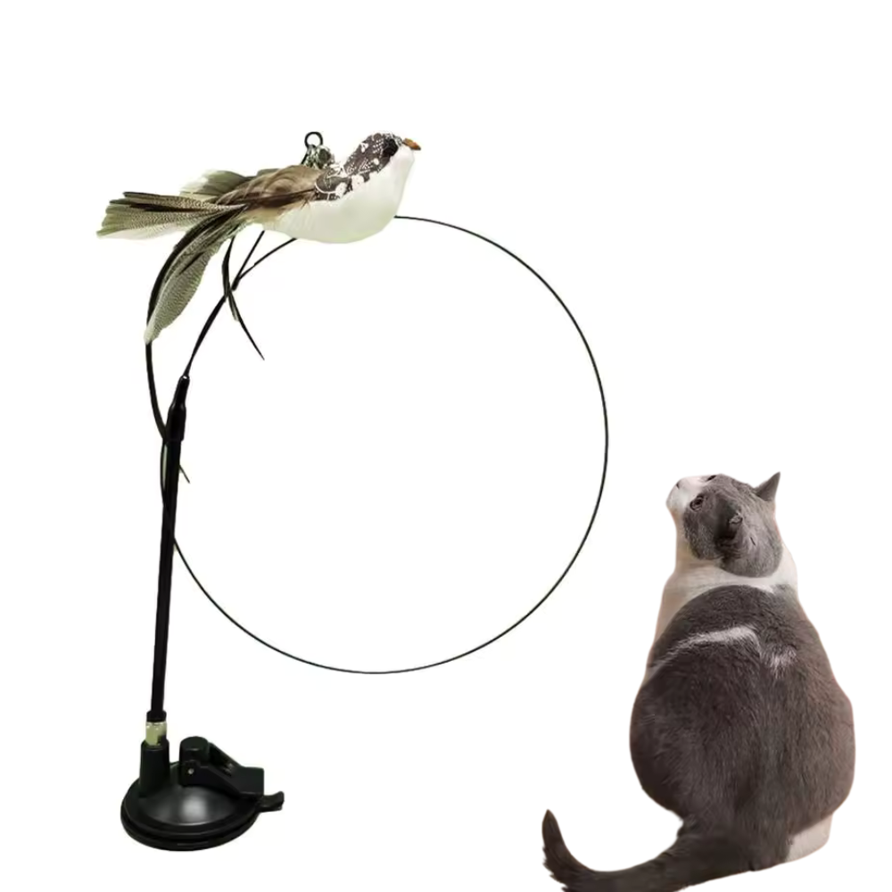 Canne Jouet Chat Oiseau Plume | Jeu Amusant Intérieur
