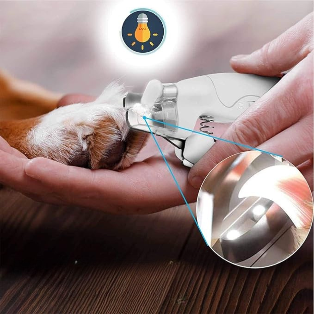 Coupe‑Griffes Lime Électrique pour Animaux 2‑en‑1 à LED | Sûr, Indolore