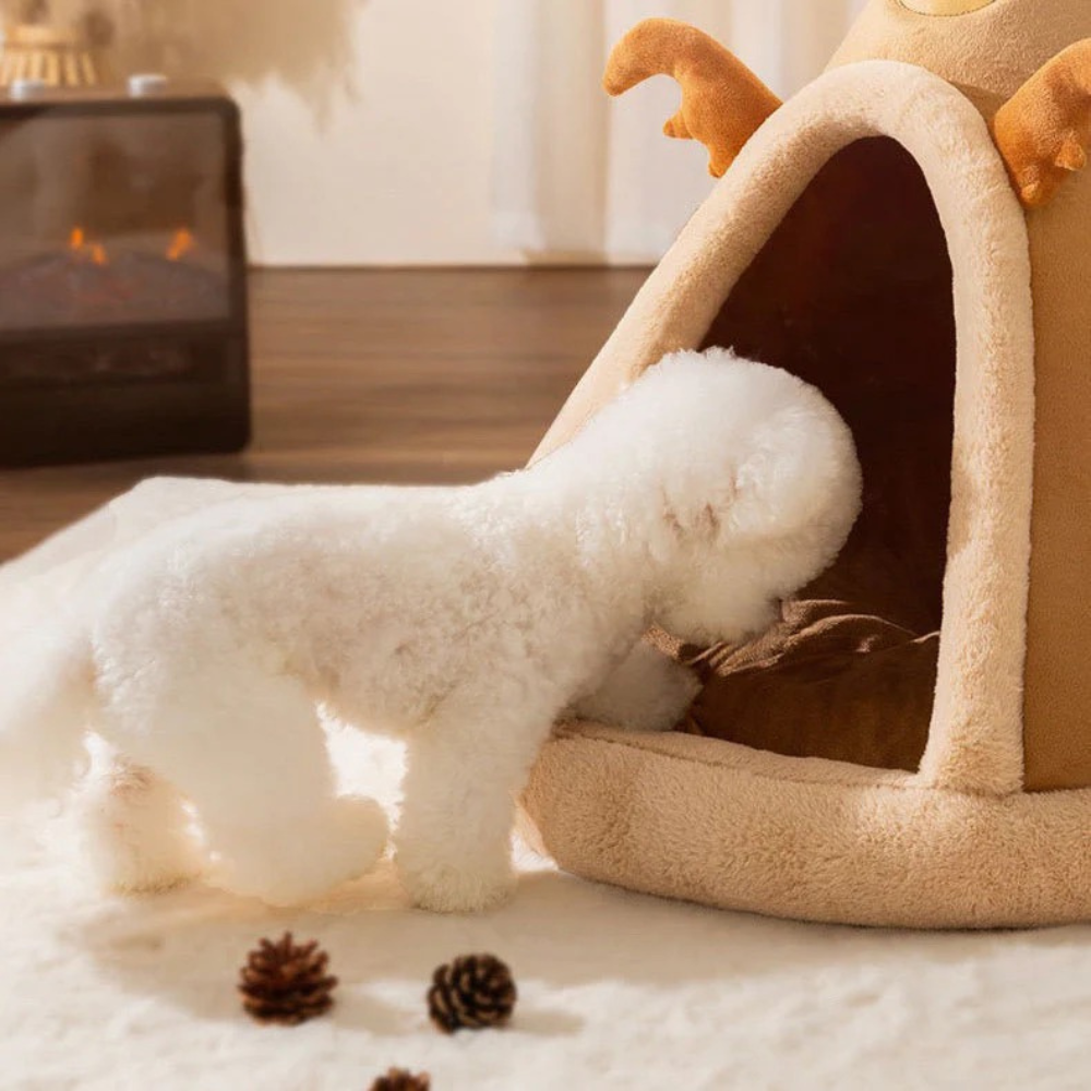 Lit Tente pour Animaux QuickWarm | Doux, Confort Instantané