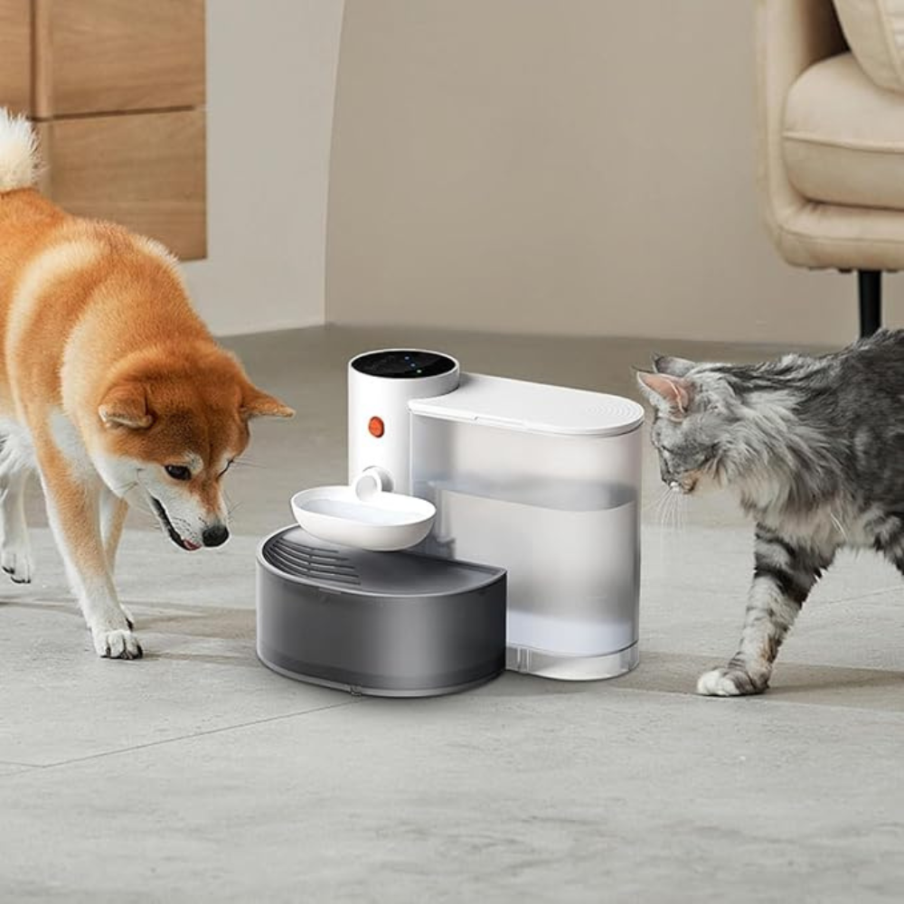 Distributeur d’Eau pour Animaux Rechargeable | Intelligent, Propre et Sans Effort