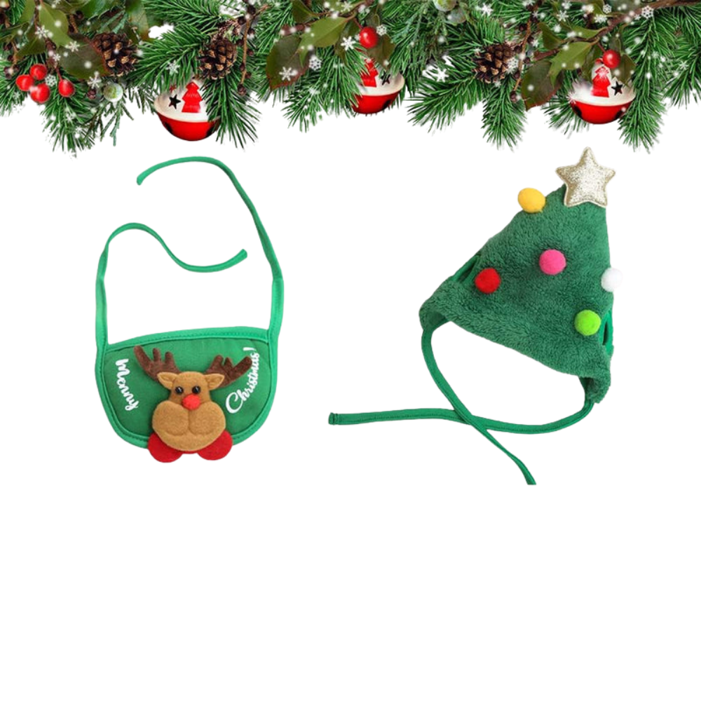 Chapeau et Bavoir Costume de Noël pour Animaux | Style Fête Adorable