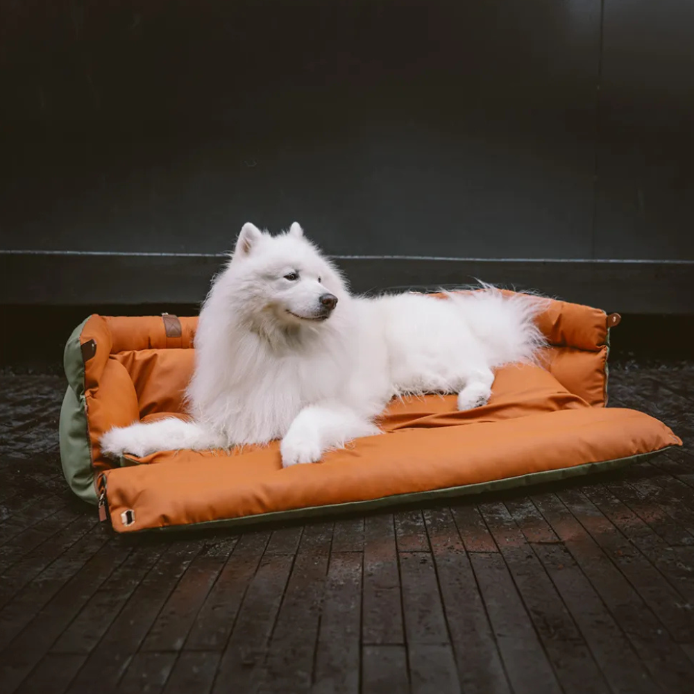 Siège Auto pour Animaux en Similicuir | Voyage Sûr et Élégant