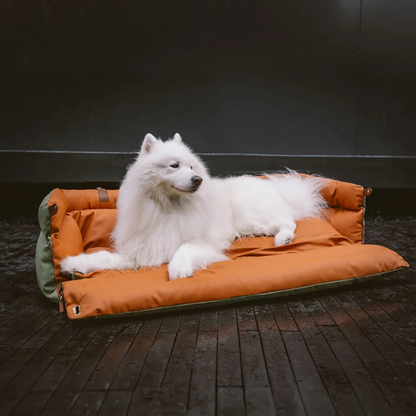 Siège Auto pour Animaux en Similicuir | Voyage Sûr et Élégant