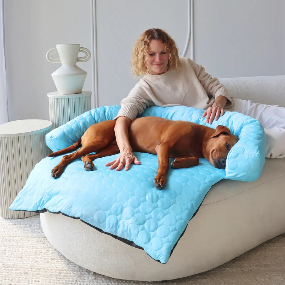 Tapis Rafraîchissant pour Chien | Protège-Canapé Lavable