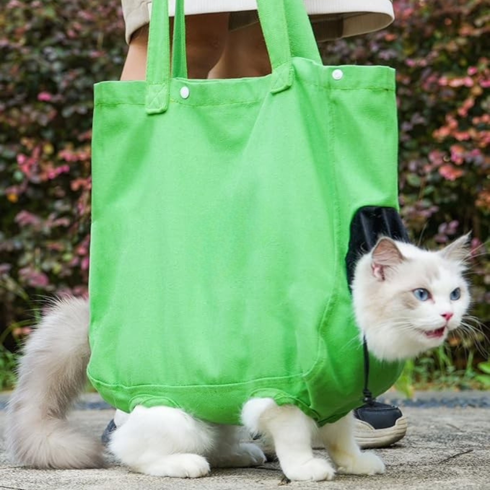 Sac Cabas de Transport Portable pour Chat | Sûr, Confortable et Léger