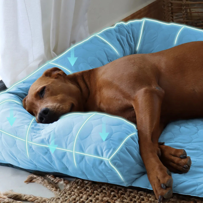Tapis Rafraîchissant pour Chien | Protège-Canapé Lavable