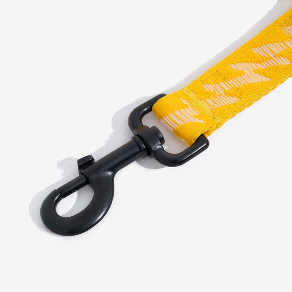 Ceinture de Sécurité Ajustable pour Chien | Voyage Sûr et Confortable