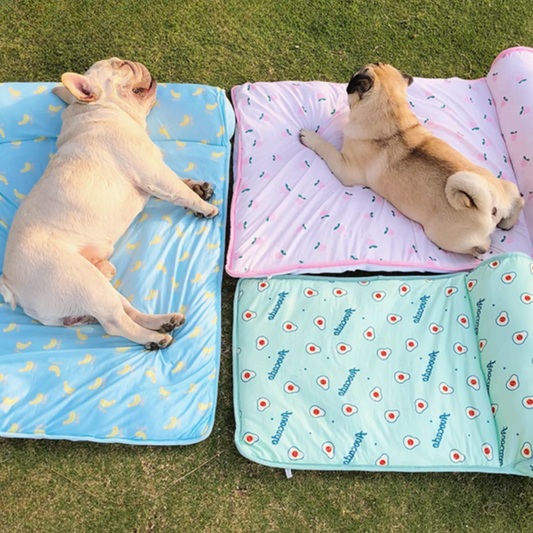ChillPaws Lit Rafraîchissant pour Animaux | Confort Frais et Apaisant